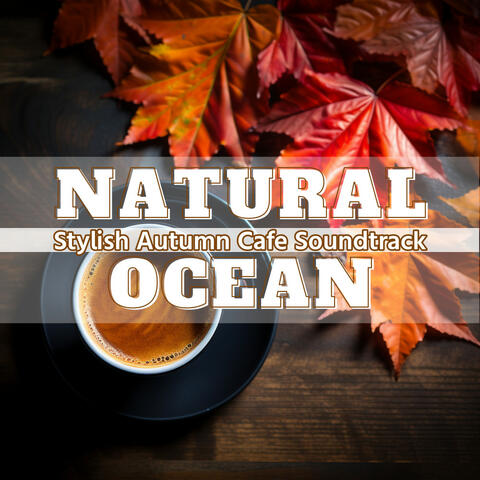 Stylish Autumn Cafe Soundtrack