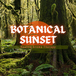 Restful Paths to Wander