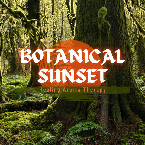 Healing Aroma Therapy