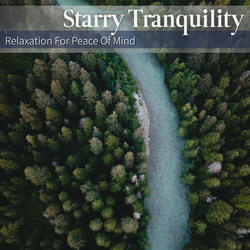 Timeless Elegance of Stillness