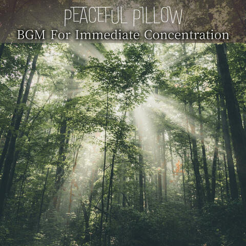 BGM For Immediate Concentration