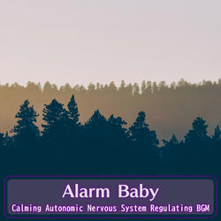 Calming Contours of Comfort