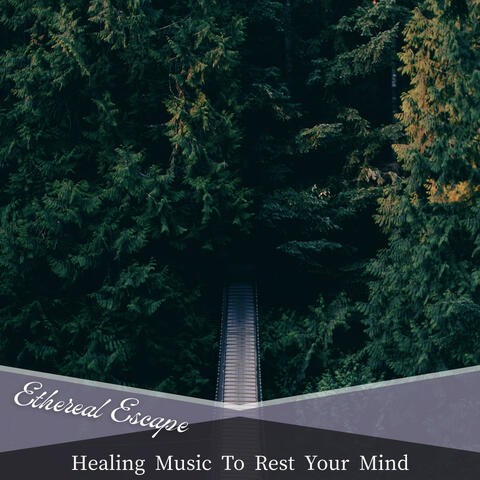 Healing Music To Rest Your Mind