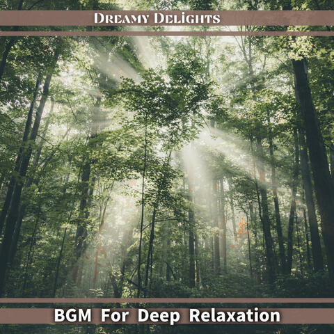 BGM For Deep Relaxation