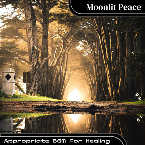 Appropriate BGM For Healing