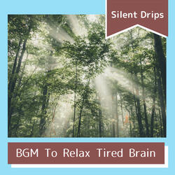 Mystical Veil of Calm