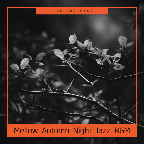 Mellow Autumn Night Jazz BGM