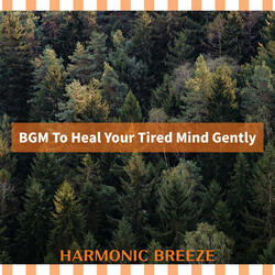 Echoes of Peaceful Rivers