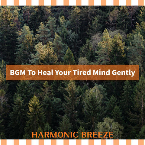 BGM To Heal Your Tired Mind Gently