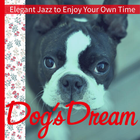Elegant Jazz to Enjoy Your Own Time