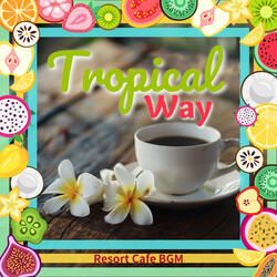 Warmth Under the Sun