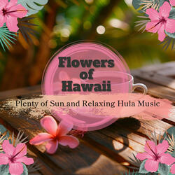 Tropical Sundown Serenade