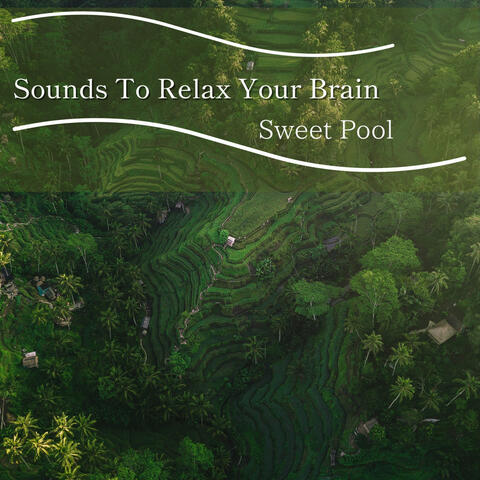 Sounds To Relax Your Brain