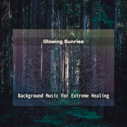 Quiet Contemplation Canopy