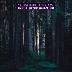 Subtle Resonance of Tranquility