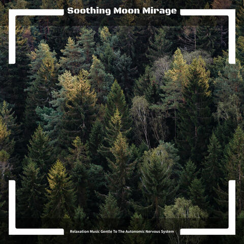 Relaxation Music Gentle To The Autonomic Nervous System