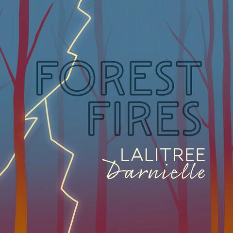 Forest Fires