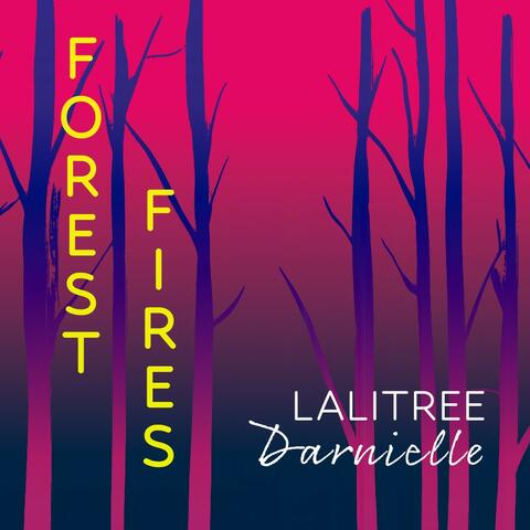 Forest Fires