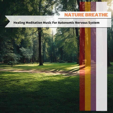Healing Meditation Music For Autonomic Nervous System
