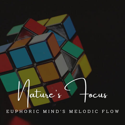 Nurturing Nature's Focus: Meditative Piano for Concentration