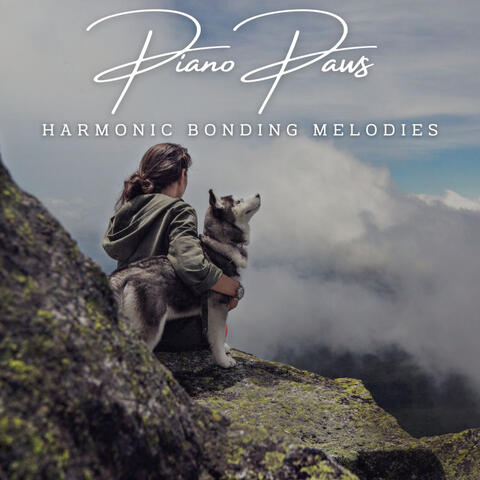 Piano Paws: Meditative Melodies for Dogs