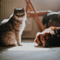 Pianissimo Serenity for Furry Friends