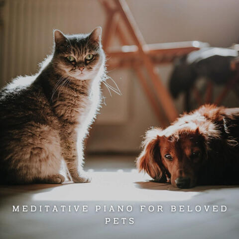 Harmonious Companions: Meditative Piano for Beloved Pets
