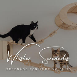 Melodic Cat Companionship