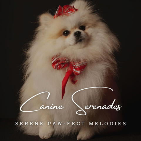 Piano Harmony: Canine Serenades