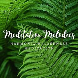 Oceanic Meditation Keys