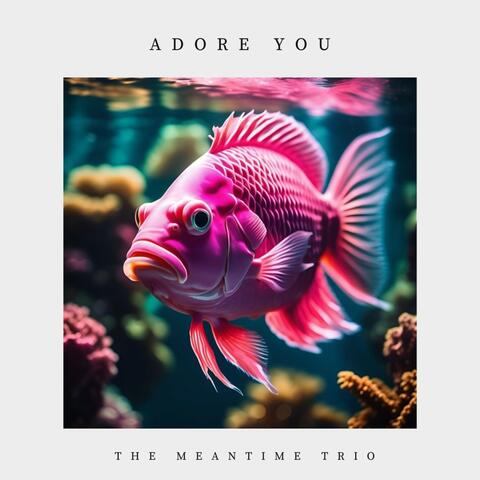 Adore You