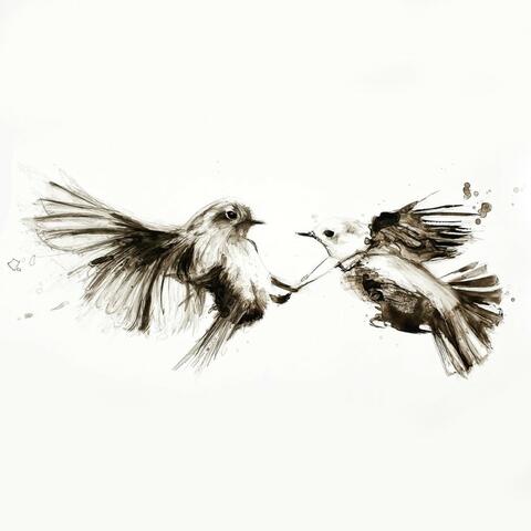 Bird Without a Song
