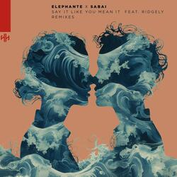 Say It Like You Mean It