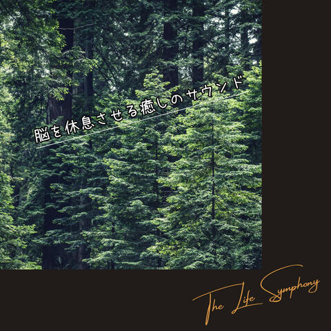 脳を休息させる癒しのサウンド