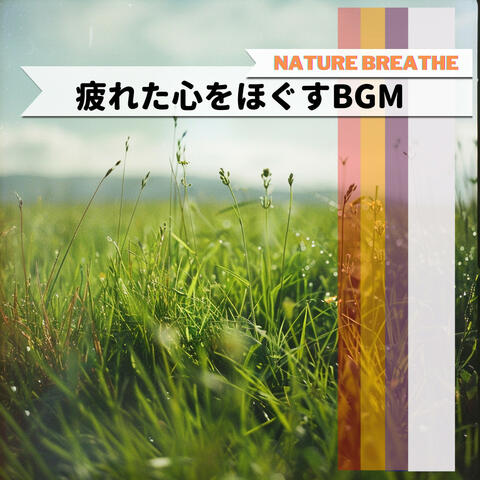 疲れた心をほぐすBGM