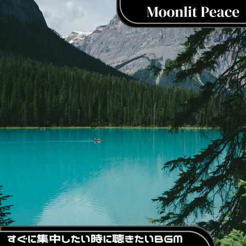 すぐに集中したい時に聴きたいBGM