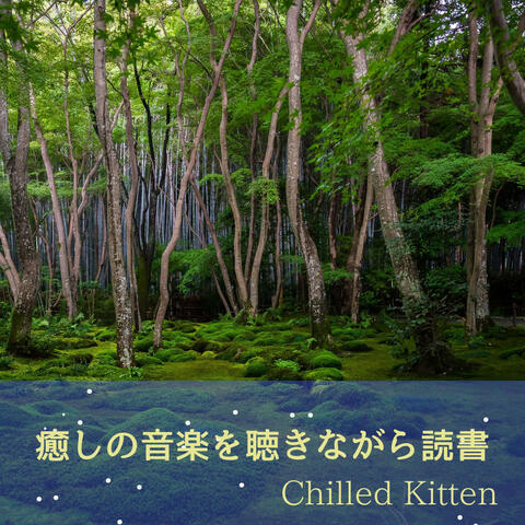 癒しの音楽を聴きながら読書