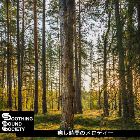 癒し時間のメロディー