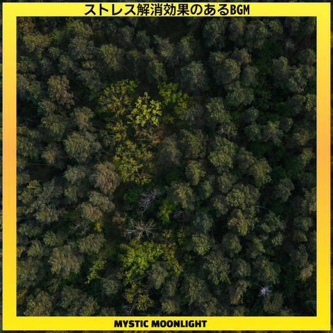 ストレス解消効果のあるBGM