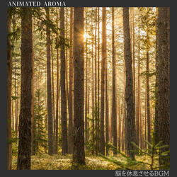 Solace in the Heartbeat of Nature