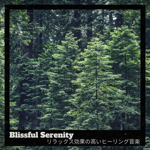 リラックス効果の高いヒーリング音楽