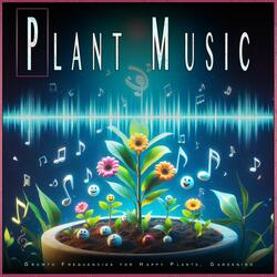 Photosynthesis Music for Plant Growth