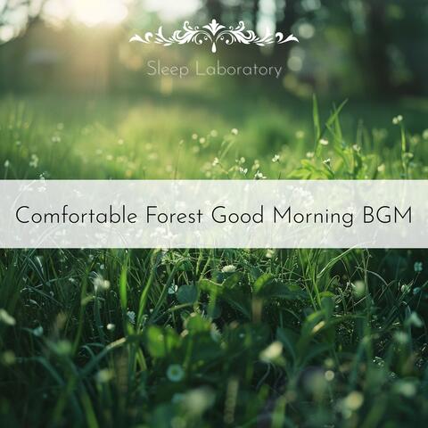 Comfortable Forest Good Morning BGM