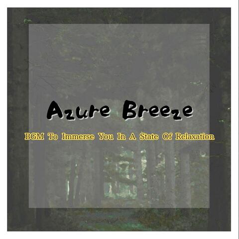 BGM To Immerse You In A State Of Relaxation