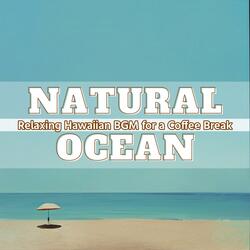 Sunflowers in the Rain