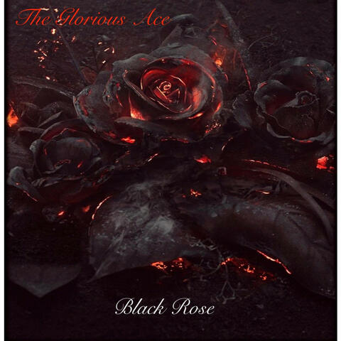 Black Rose