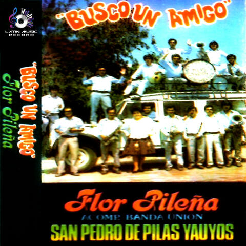 Busco un Amigo