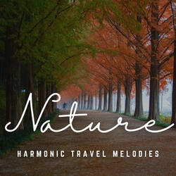 Acoustic Vistas' Serenades
