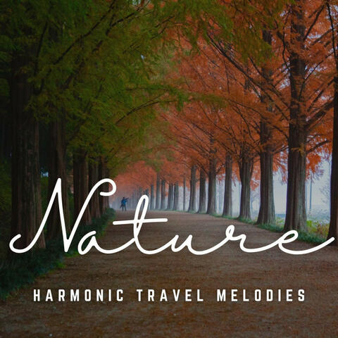 Acoustic Vistas: A Melodic Journey