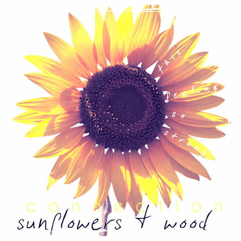Sunflowers & Wood